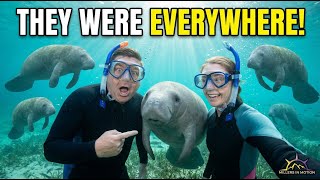 We Finally Got to Swim with Manatees and Wow