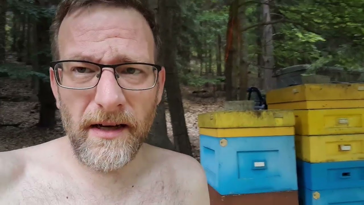 Malé velké překvapení u včel v lese :-)