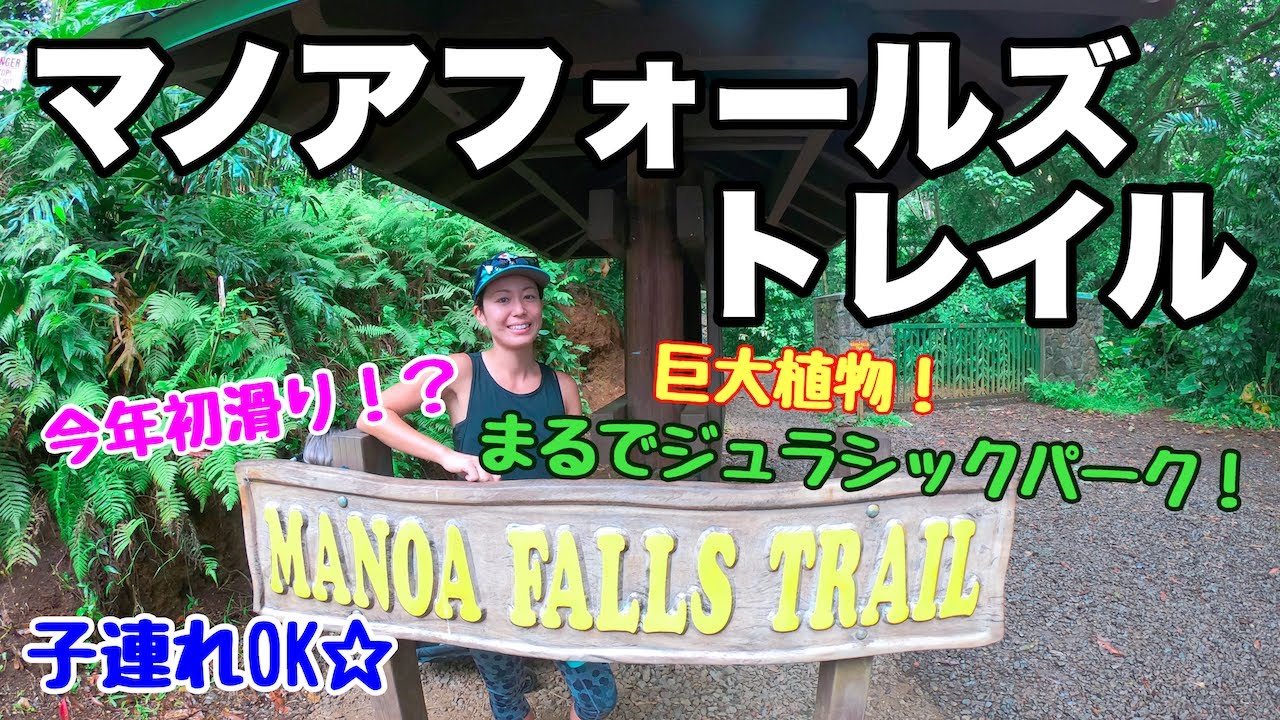 【ハワイのハイキング】ハワイの大自然を感じるならここ！『マノアフォールズ』ファミリーにも大人気☆マイナスイオンたっぷり♪癒しのハイキング