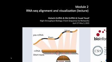 RNA-seq Alignment and Visualization