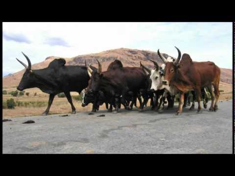 Ombi Tsaretin DRaleva Soley 