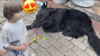 Fatih Selim ve kardeşinin araba yolculuğu.sokak köpeği topları saklıyor top makinesine bekçi olmuş