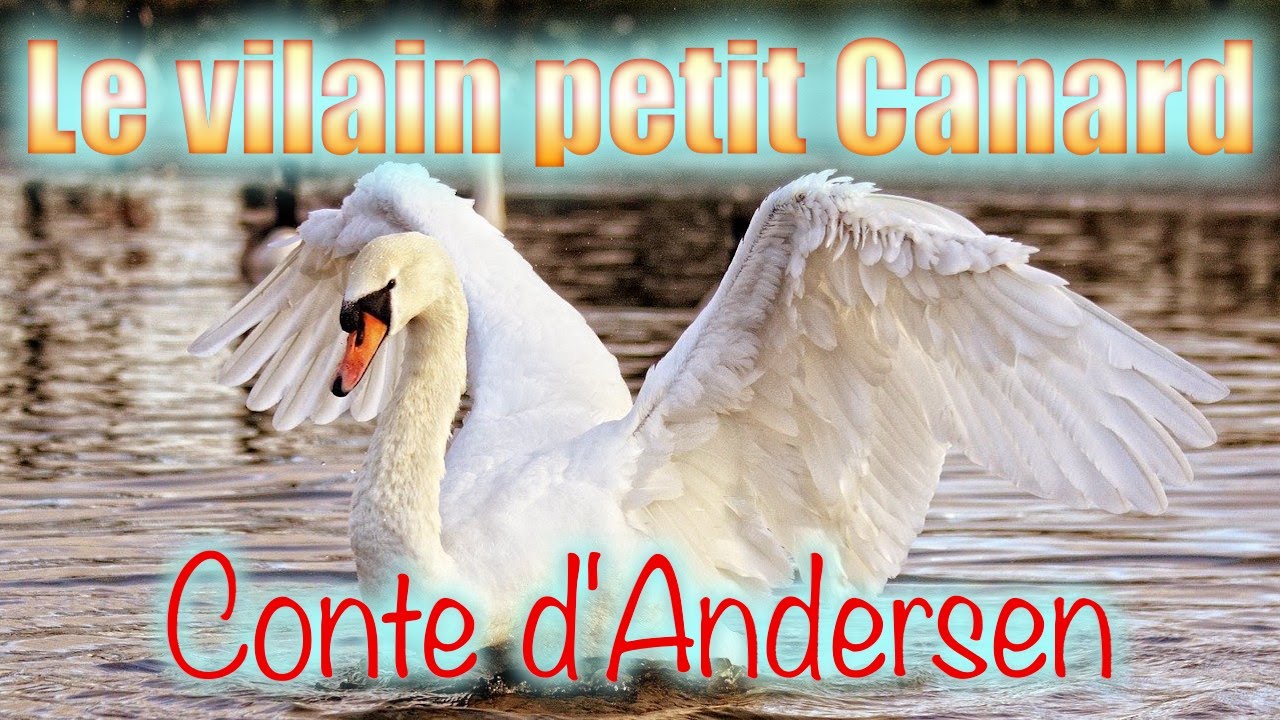 Le vilain petit Canard, conte d'Andersen