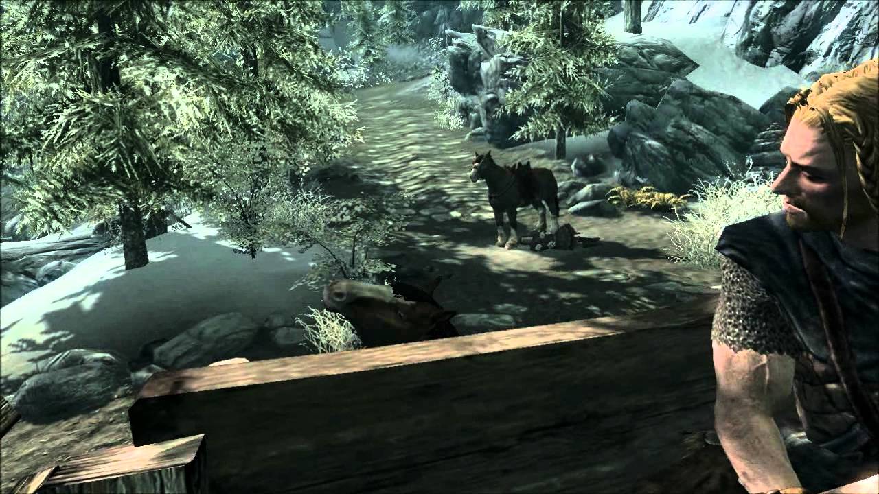 Skyrim intro glitch.