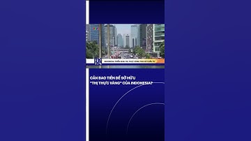 Cần bao tiền để sở hữu "thị thực vàng" của Indonesia?| VTVMoney