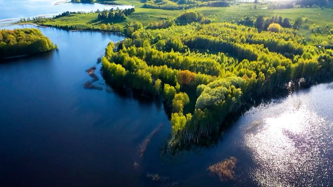 Удивительный мир Браславских озер: как охотится крохаль и где зимуют раки?