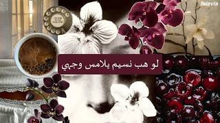 ترجمة  Acıoğlu- İhtiyacım Var