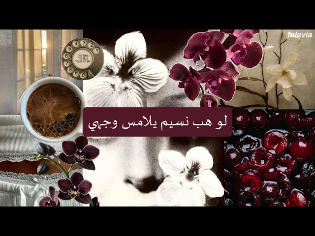 ترجمة  Acıoğlu- İhtiyacım Var