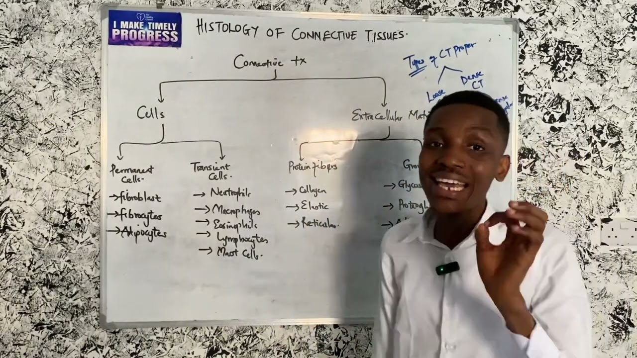 Master Connective Tissue Histology in Minutes.