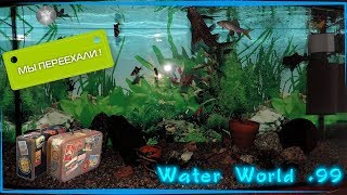 Water World #99 / Переселяю рыбу в большой аквариум