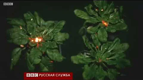 Ученые 