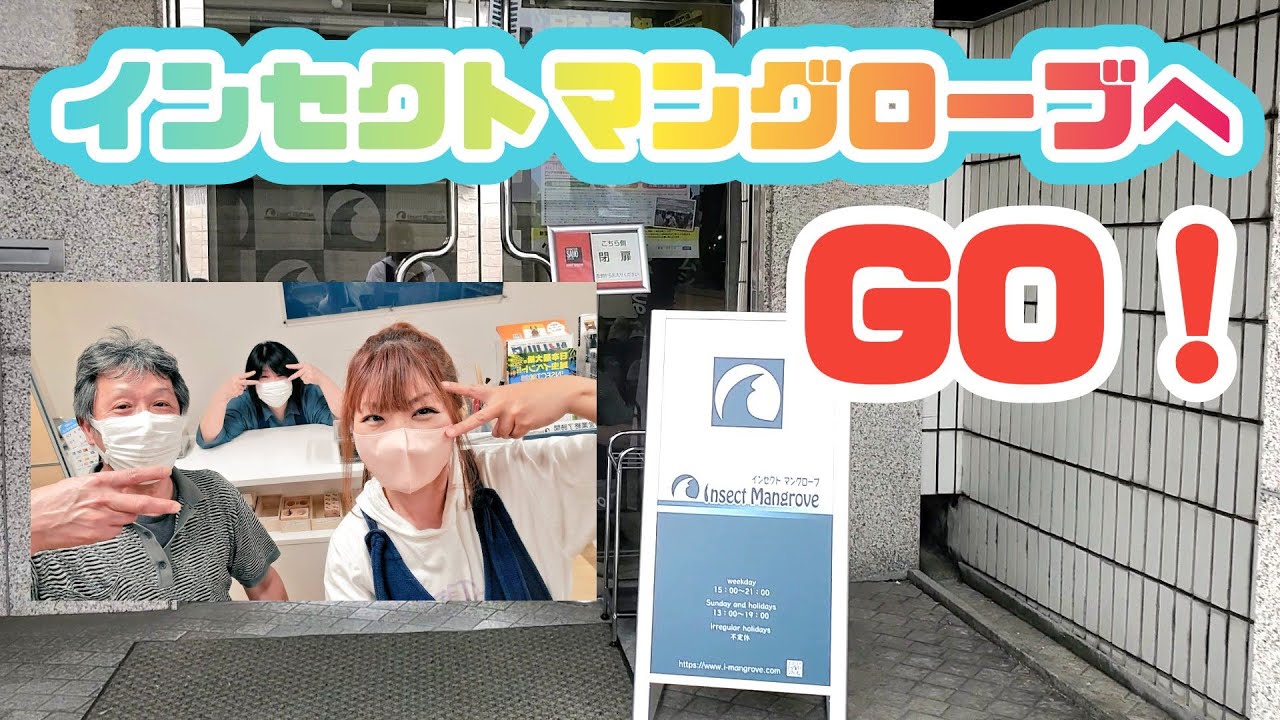 【インセクトマングローブへＧＯ！】2023.5.25