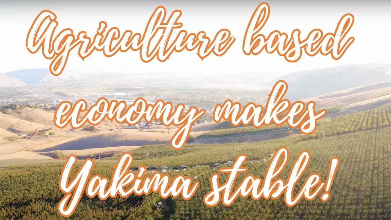 Why an agriculture-based economy makes Yakima a stable community!