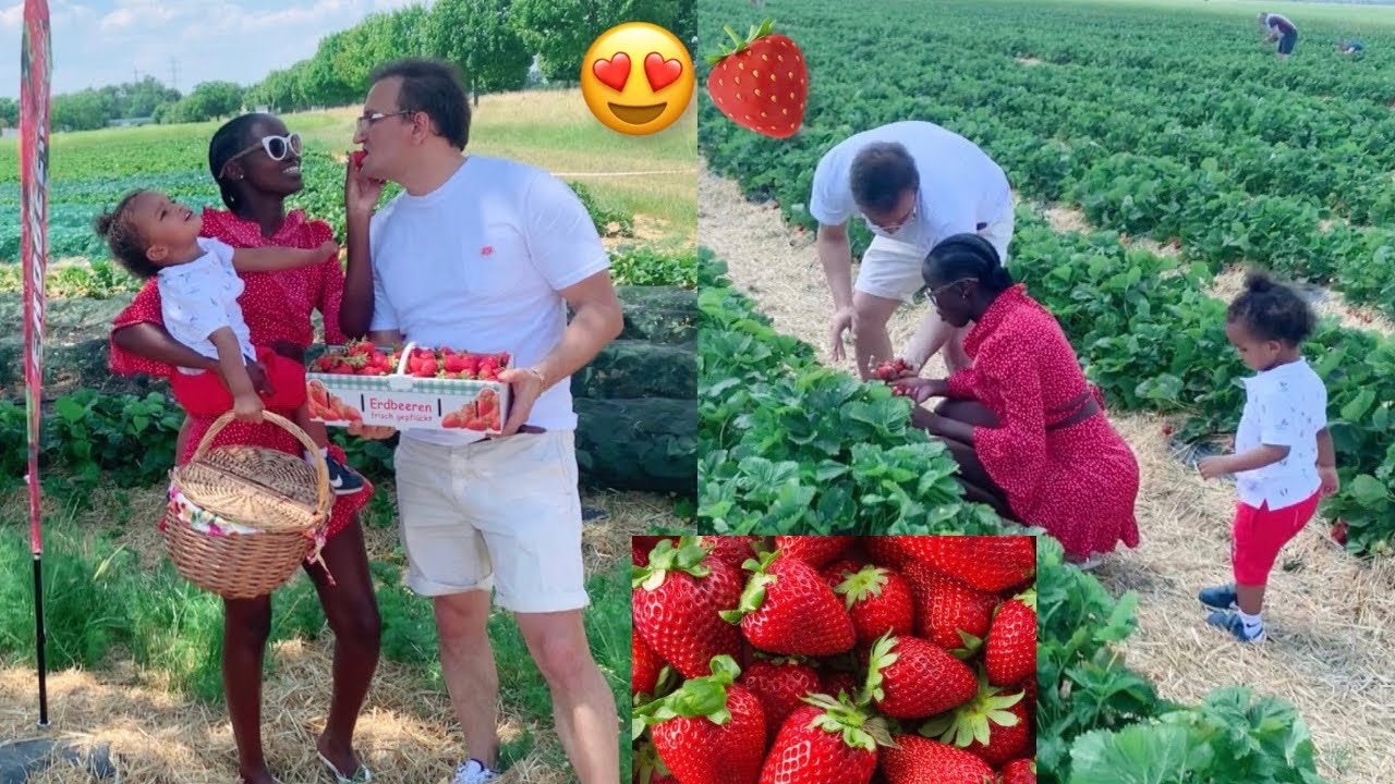 PICKING FRESH STRAWBERRIES 🍓 FROM THE FARM 😍❤️