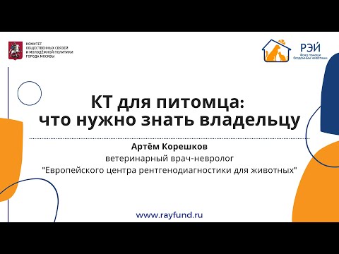 Видео: Компьютерная томография домашних животных: все, что вам нужно знать