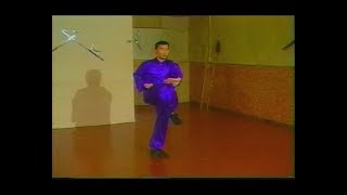 CHOY LI FUT KUNG FU - FIVE WHEEL FIST