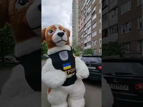 Пес Патрон повертається після привітання СуперСвято Київ 0935402258