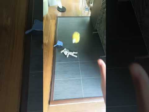 Crochet goes flying wheee