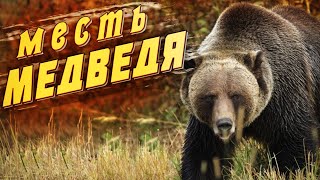 🐻Месть Медведя! В Тайге Не Бывает Случайностей, Есть Только Закономерность!