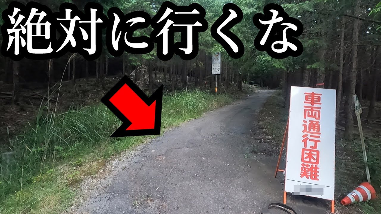 動けなくなるか崖に落ちるか、どっちにしますか？ [広島県道80号 東広島向原線]