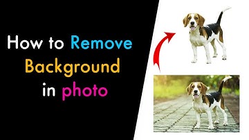 How to Remove Background from Picture in 5 seconds