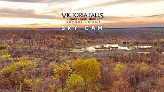 Victoria Falls Safari Lodge - Sky Cam | Wildlife Live Stream