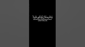" وَمَا تَدْرِي نَفْسٌ بِأَيِّ أَرْضٍ تَمُوتُ " #سورة_لقمان #ناصر_القطامي #quran #كرومات_قرآن