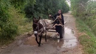 Donkey riding | Gadhe ko bahot mara lakin phir bhi ni bhaga | Mumtaz village fashion