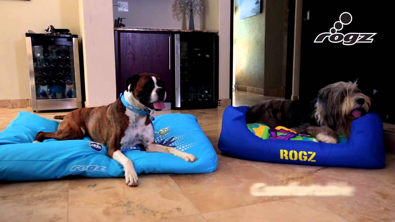 rogz dog beds