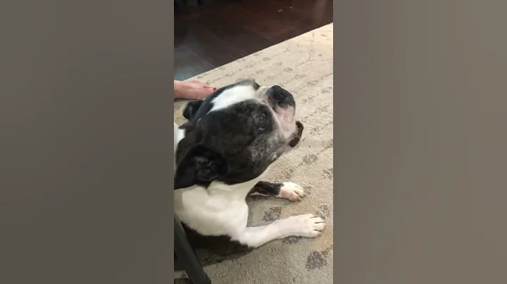 Henry singing