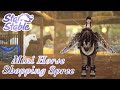 SSO Mini Horse Shopping Spree 𓂃 𓈒𓏸