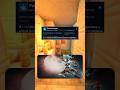 Отзывы Warframe в Steam