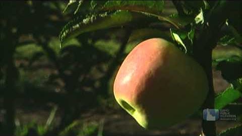 Science Trek: The Food Web video short