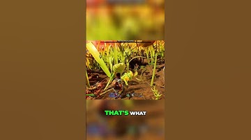 Grounded Update 0.1.3: New Features & Performance Boost! #shorts