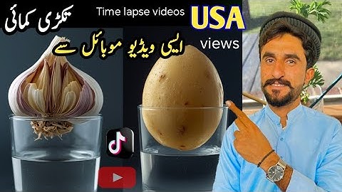How To Create vegetables germination time lapse videos with Ai | Shamshad khosa