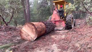 Huge Log Tests Limits of Farmi 501 Tractor Winch - Small Scale Logging for Woodmizer LT15 Sawmill