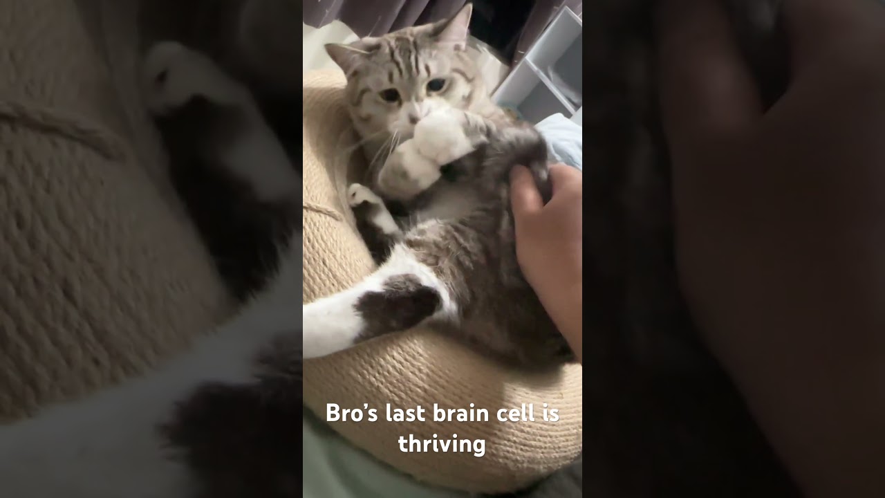 At least he has the predator instinct 