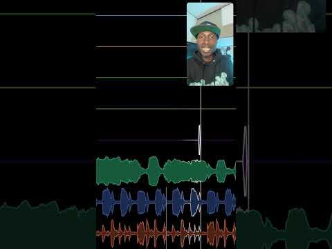 Everyday Looper demo by TY Suite