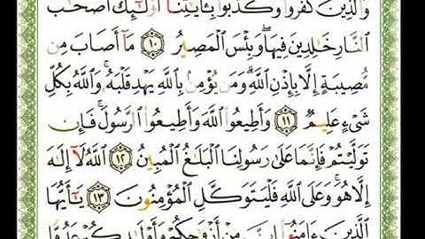 سورة التغابن 64 - 114 شيرزاد عبد الرحمن طاهر - قراءة مرتلة