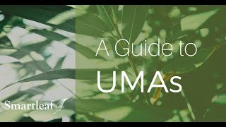 A Guide To Umas
