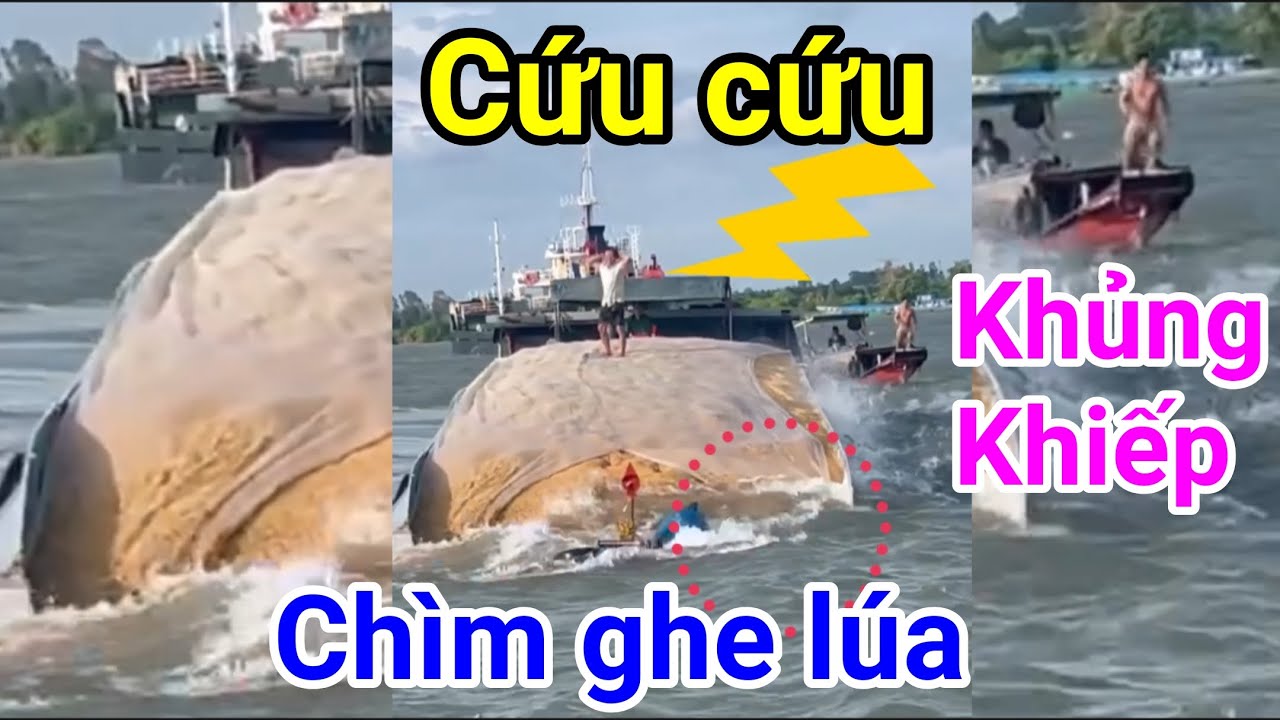 Khiếp sợ /ghe lúa bị sóng đánh chìm trên sông lớn - YouTube