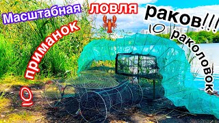 Масштабна ловля раков на раколовки. Какая приманка лучшая на раков. 10 раколовок=10 приманок