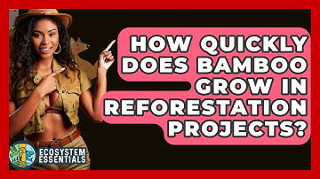 How Quickly Does Bamboo Grow In Reforestation Projects? - Ecosystem Essentials