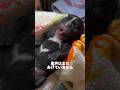 産声をあげてくれない赤ちゃん