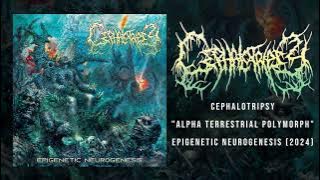 CEPHALOTRIPSY - 'Alpha Terrestrial Polymorph'