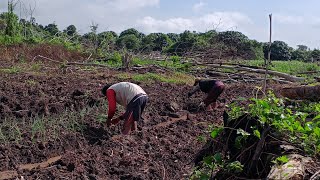 PAK YAYAN AND ERIK START PLANTING SPRING ONIONS