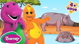 Let's Go To The Zoo! | Learning About Animals for Kids | NEW COMPILATION | Barney the Dinosaur