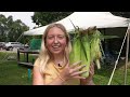 DeWitt Township farm raises sweet corn prices amid rising fuel and fertilizer costs