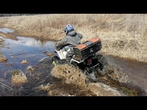 Видео: Квадроцикл мотоленд вилд 125 грязь и лужи