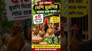 ছোট পরিসরে দেশি মুরগির খামার শুরু করুন | ৫টি মুরগি দিয়েই লাভ শুরু” #দেশিমুরগি #খামার